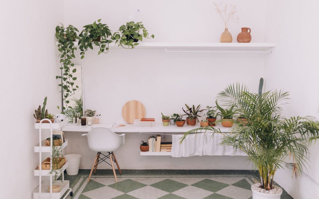 Why You Should Add Some Greenery Inside Your Home