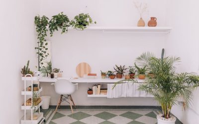 Why You Should Add Some Greenery Inside Your Home