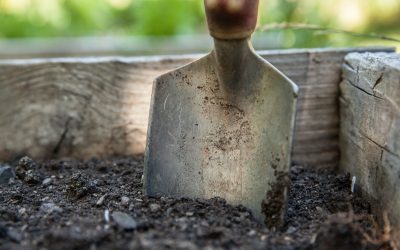Must-Have Garden Supplies for Every Green Thumb